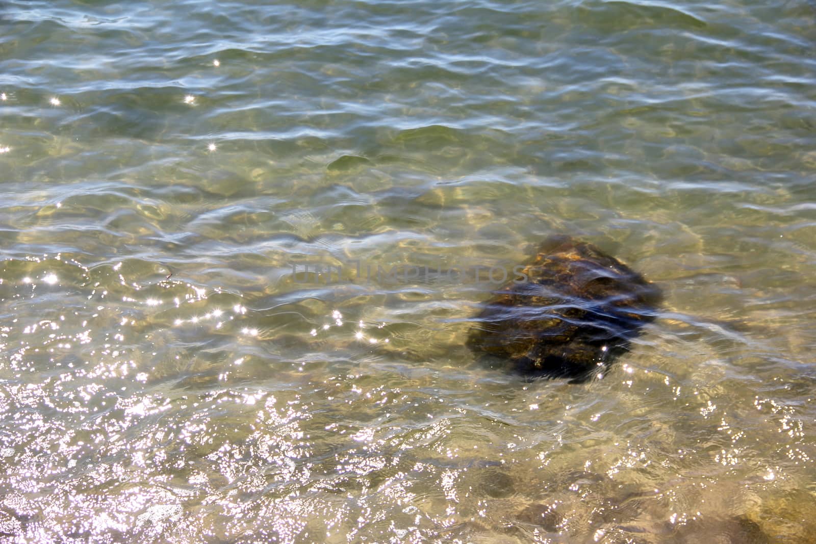Crystal clear sea water and superb clean, See rocks on the bottom of the sea nature ocean, under water in beach clear and clean, Winter sea with travel tropical or summer holiday