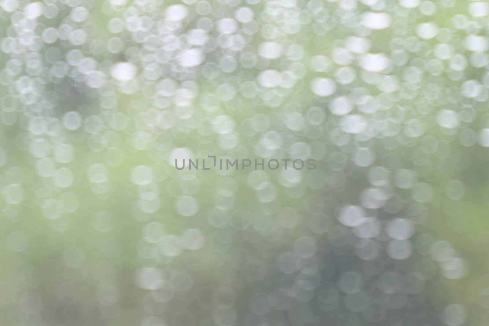 rain, nature bokeh light tree green soft background