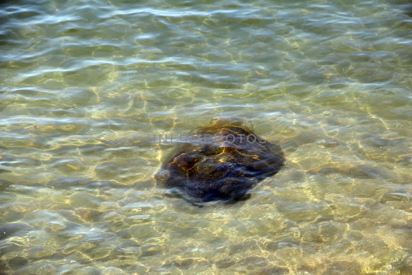 Crystal clear sea water and superb clean, See rocks on the bottom of the sea nature ocean, under water in beach clear and clean, Winter sea with travel tropical or summer holiday