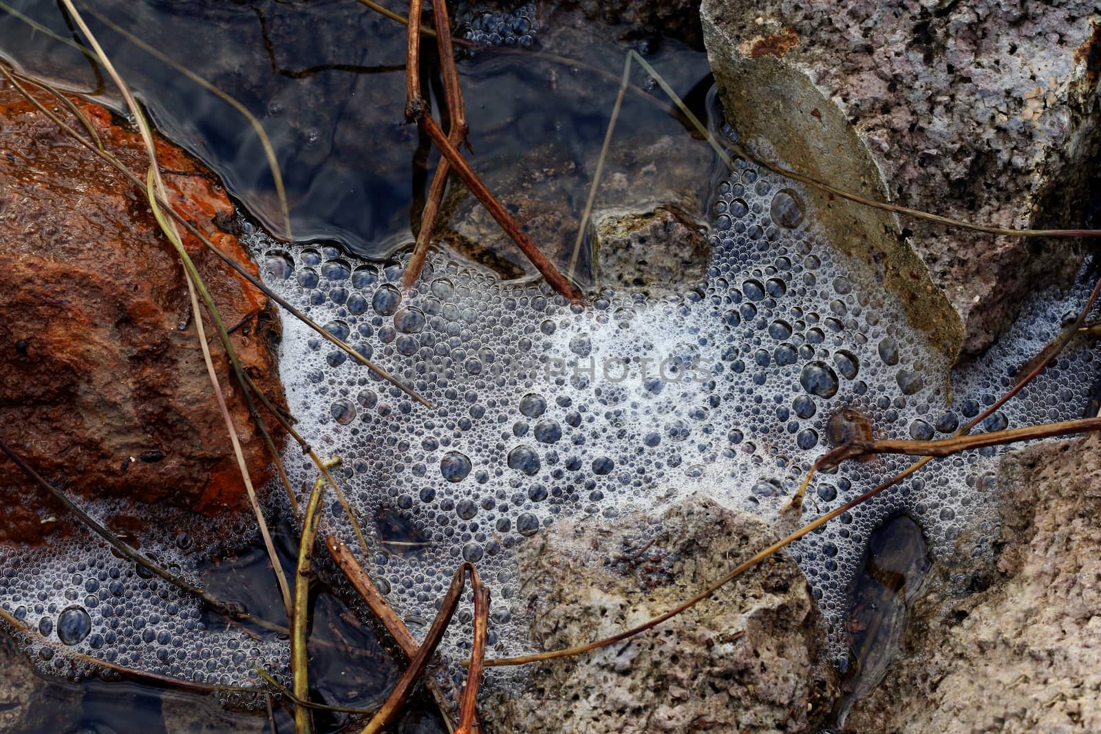 sponge on the rocky surface close up, waste water, dirty water pollution, white bubbles on the surface and stone