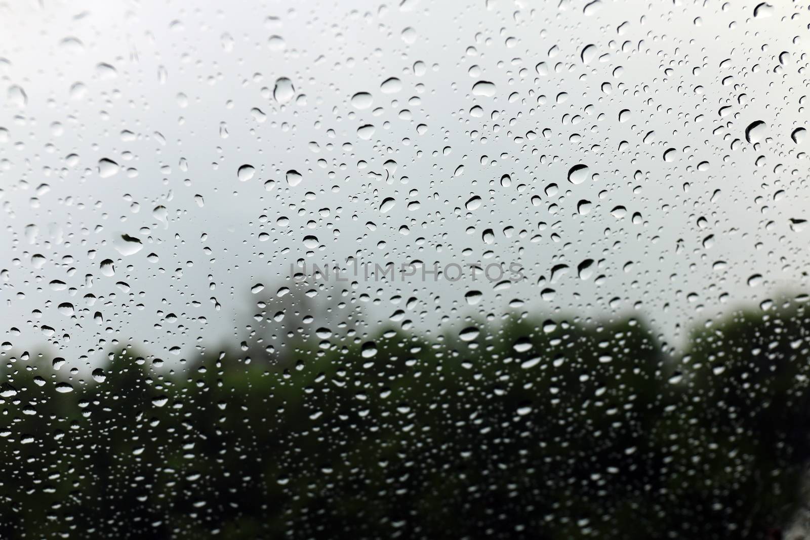 rain, nature bokeh light tree green soft background