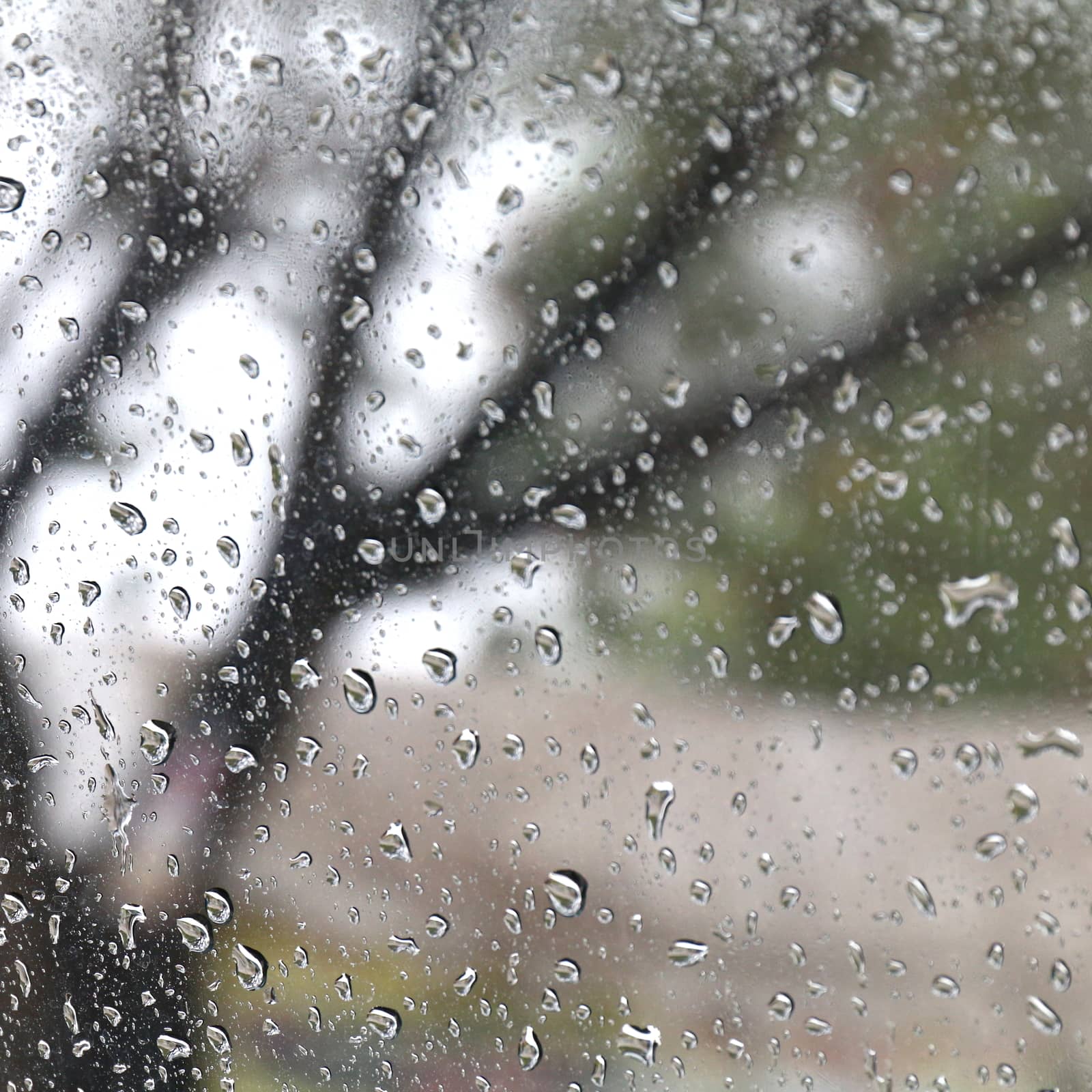 Nature fresh wet background with water raindrops transparency on glass window mirror glass