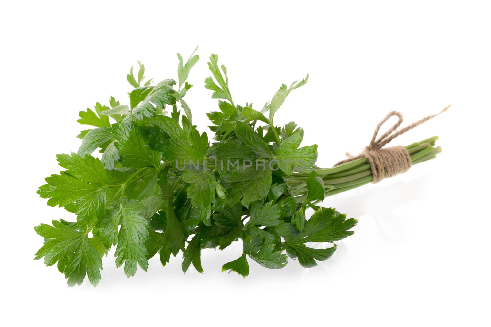 parsley fresh herb isolated on a white background by kaiskynet