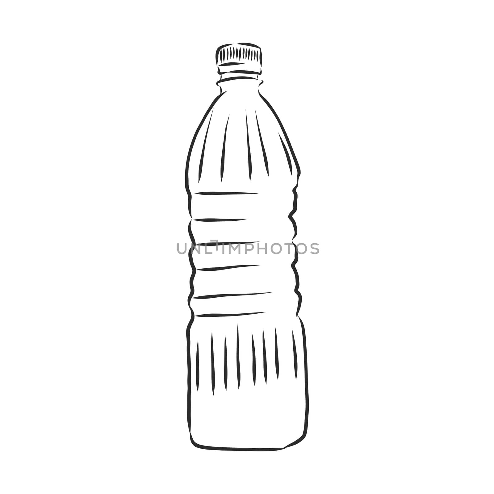 Vector Single Sketch Plastic Bottle of Water