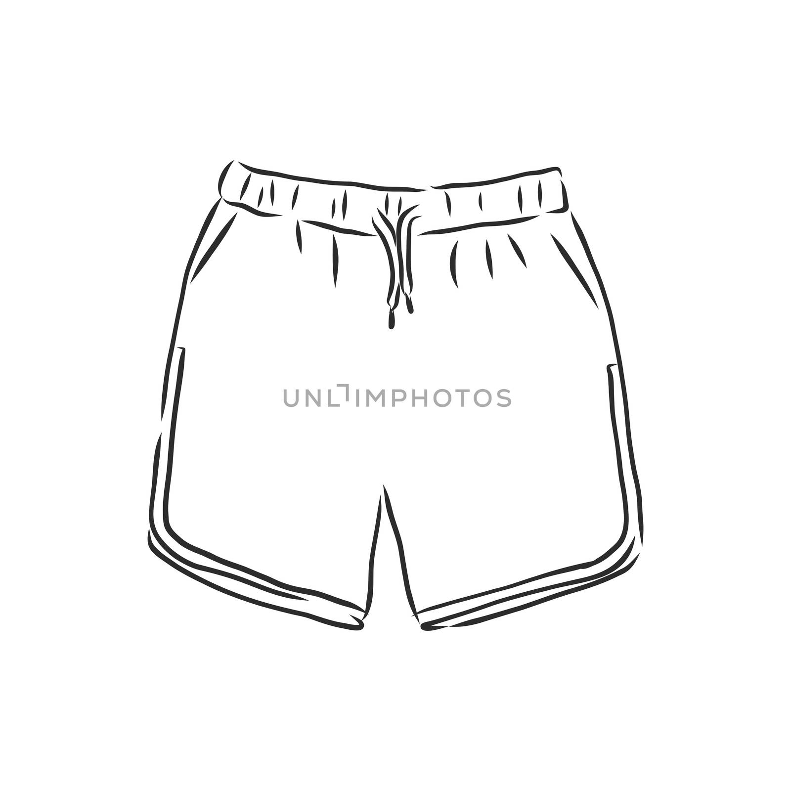 Vector illustration of shorts. Casual clothes. shorts, vector sketch illustration by ekaterina