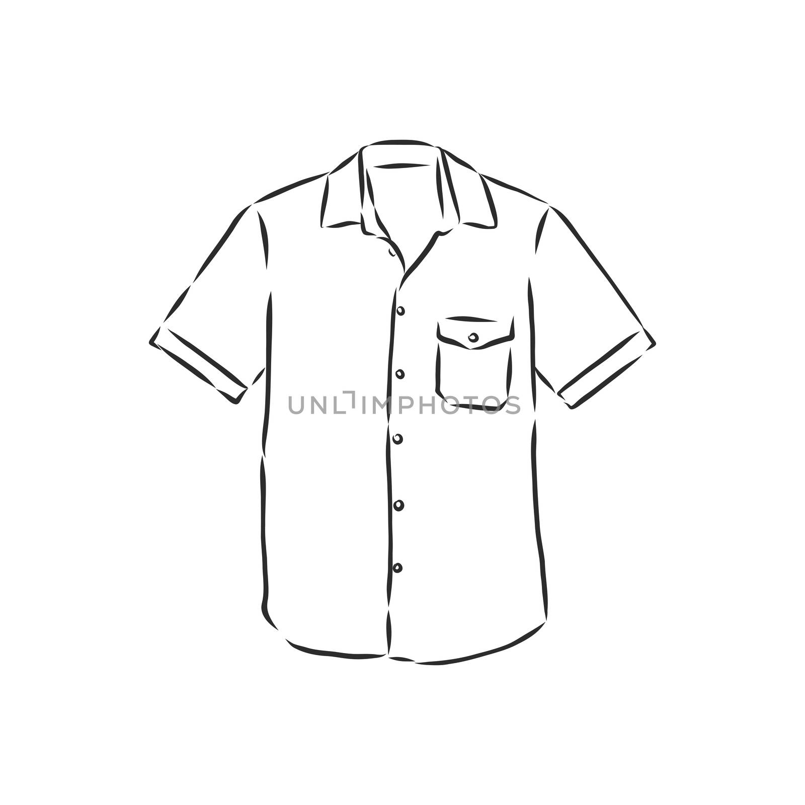 Vector illustration of man's shirt. Front . men's shirt, vector sketch illustration by ekaterina