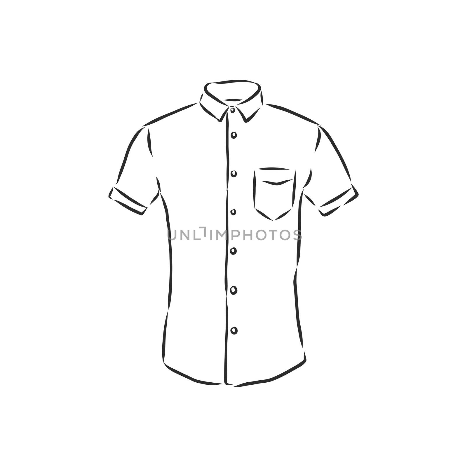 Vector illustration of man's shirt. Front . men's shirt, vector sketch illustration by ekaterina