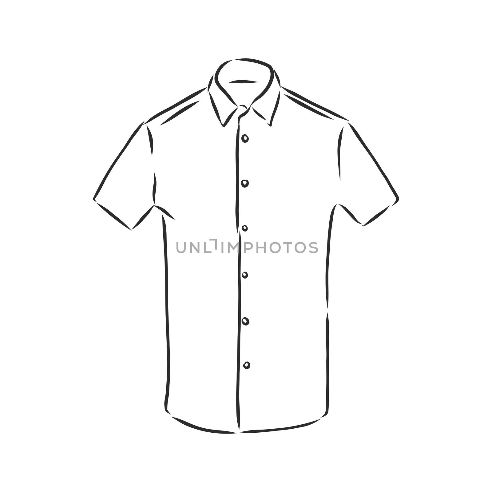 Vector illustration of man's shirt. Front . men's shirt, vector sketch illustration by ekaterina