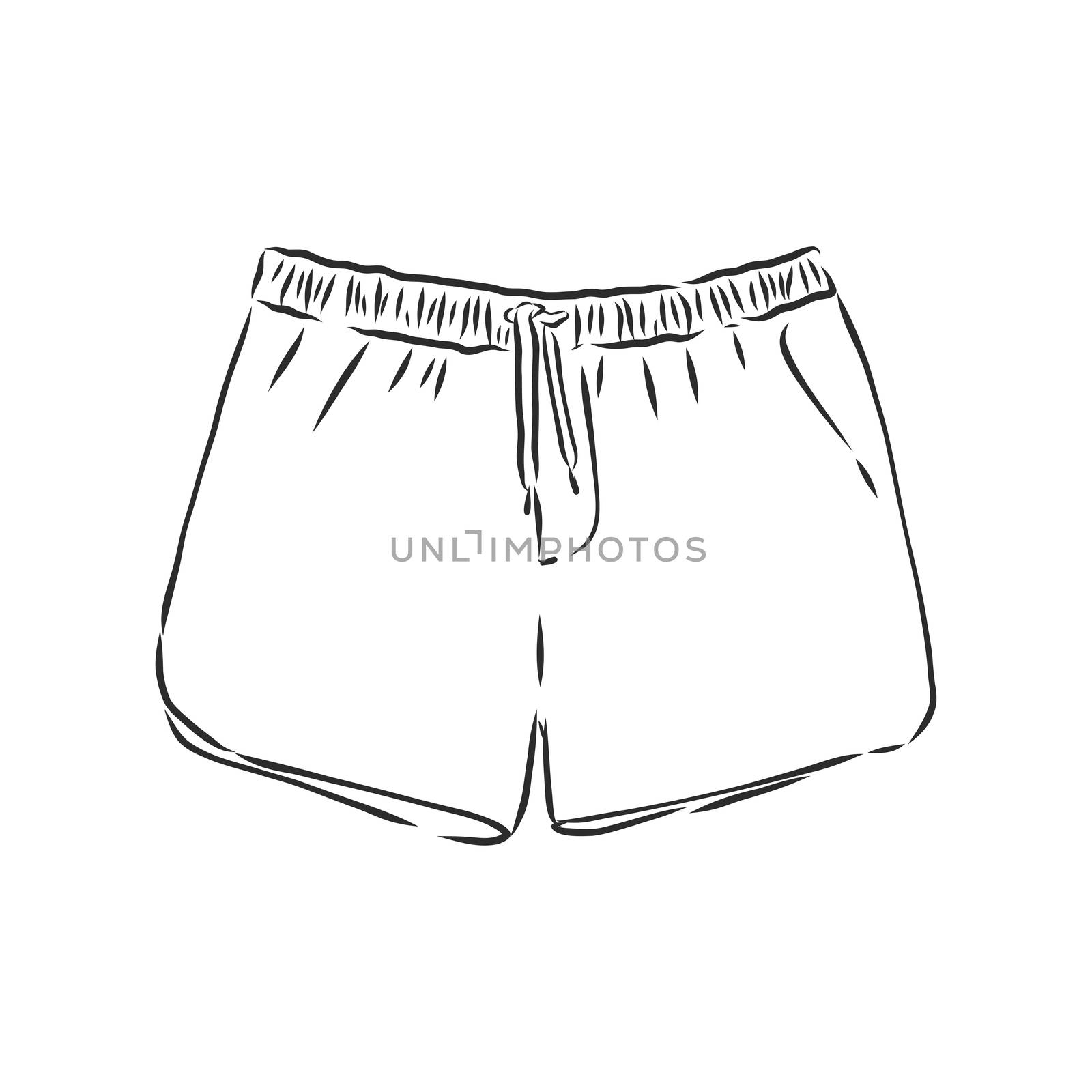 Vector illustration of shorts. Casual clothes. shorts, vector sketch illustration by ekaterina