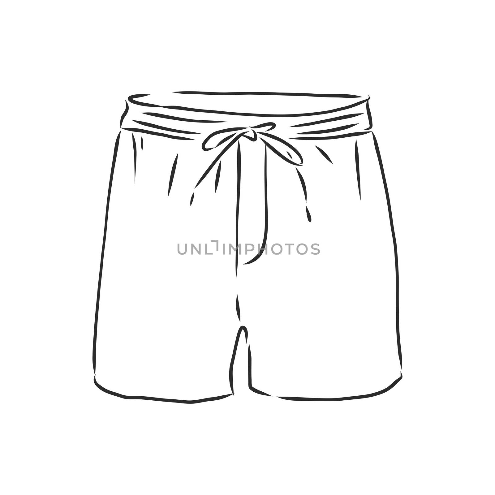 Vector illustration of shorts. Casual clothes