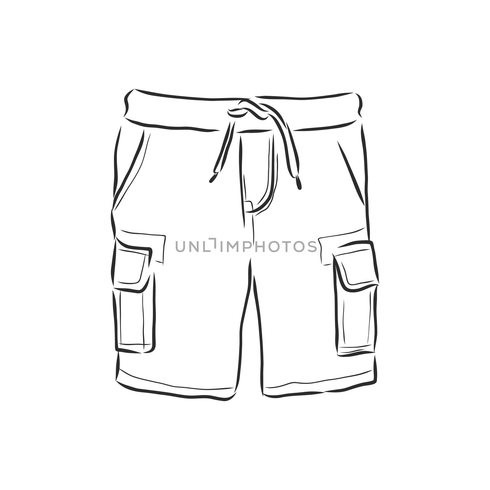 Vector illustration of shorts. Casual clothes. shorts, vector sketch illustration by ekaterina