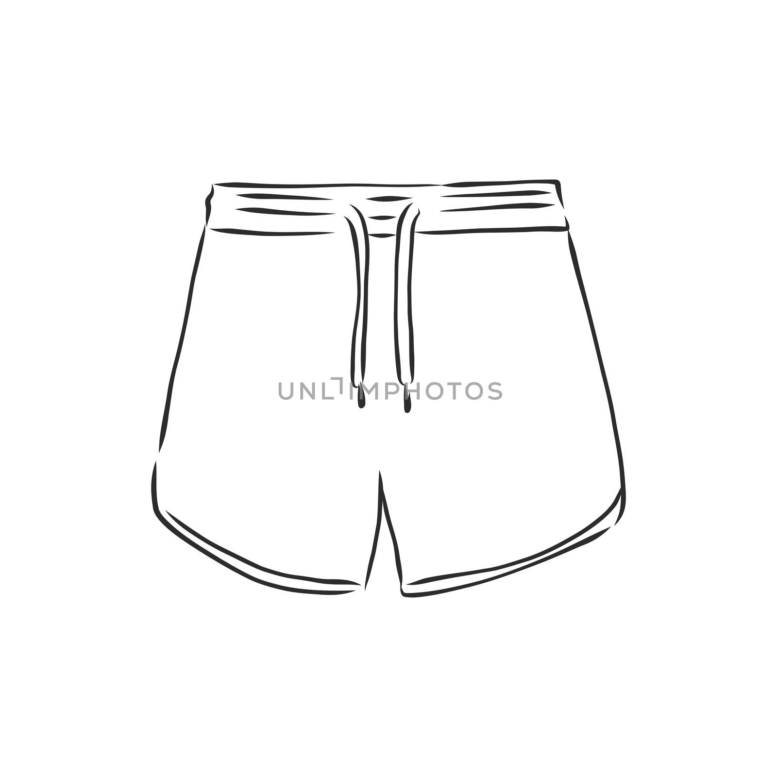 Vector illustration of shorts. Casual clothes. shorts, vector sketch illustration by ekaterina