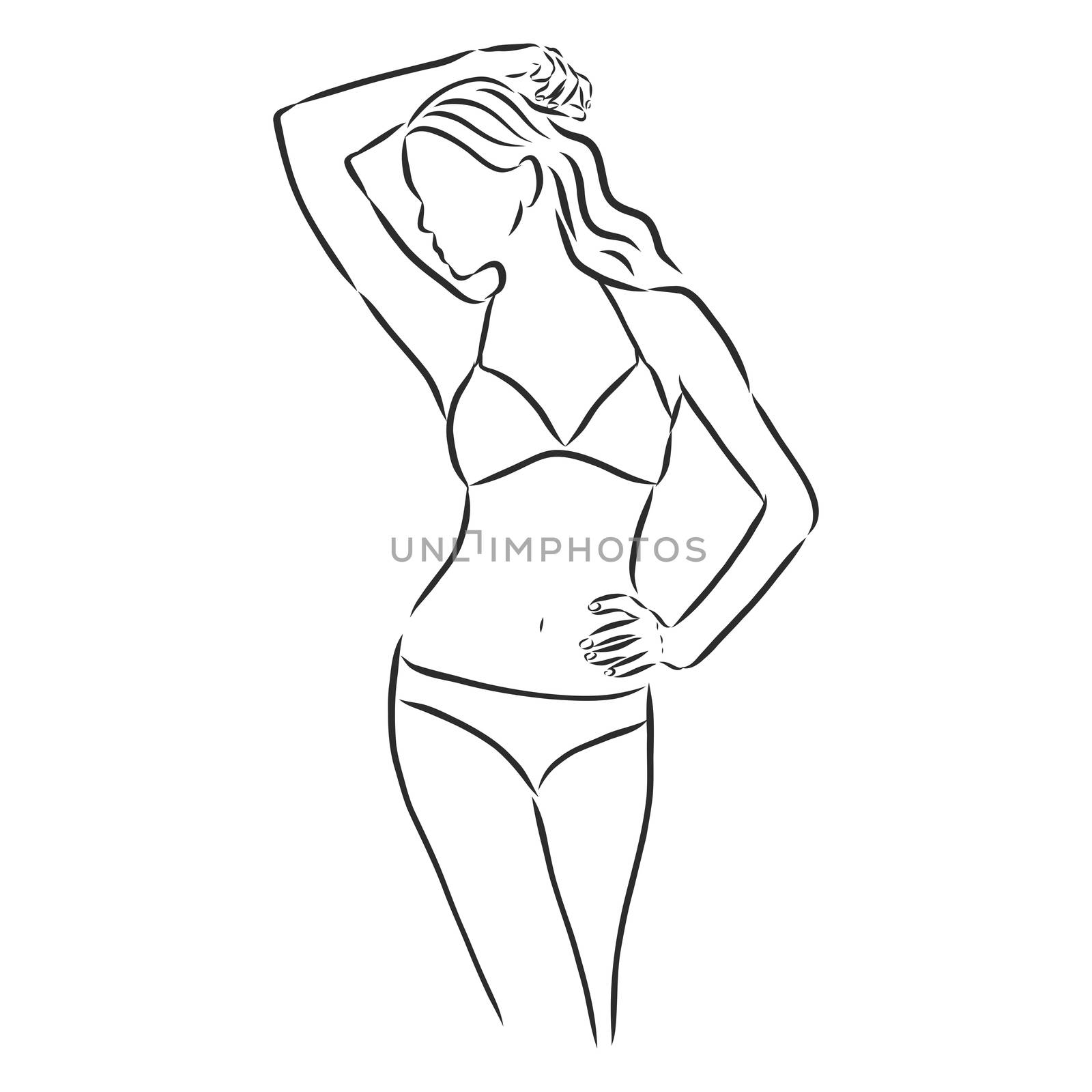 beautiful woman bodies in bikini vector illustration eps 10