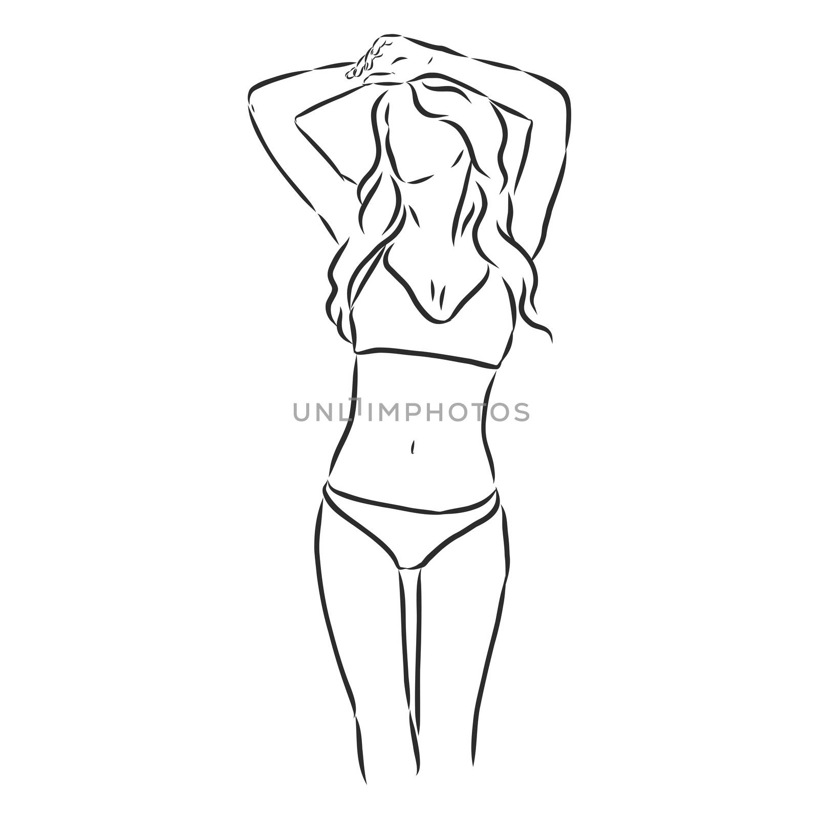 beautiful woman bodies in bikini vector illustration . swimsuit, vector sketch illustration by ekaterina