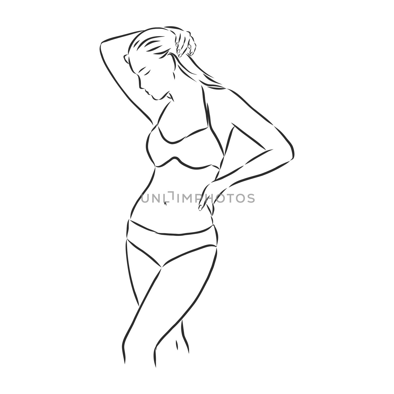 beautiful woman bodies in bikini vector illustration eps 10