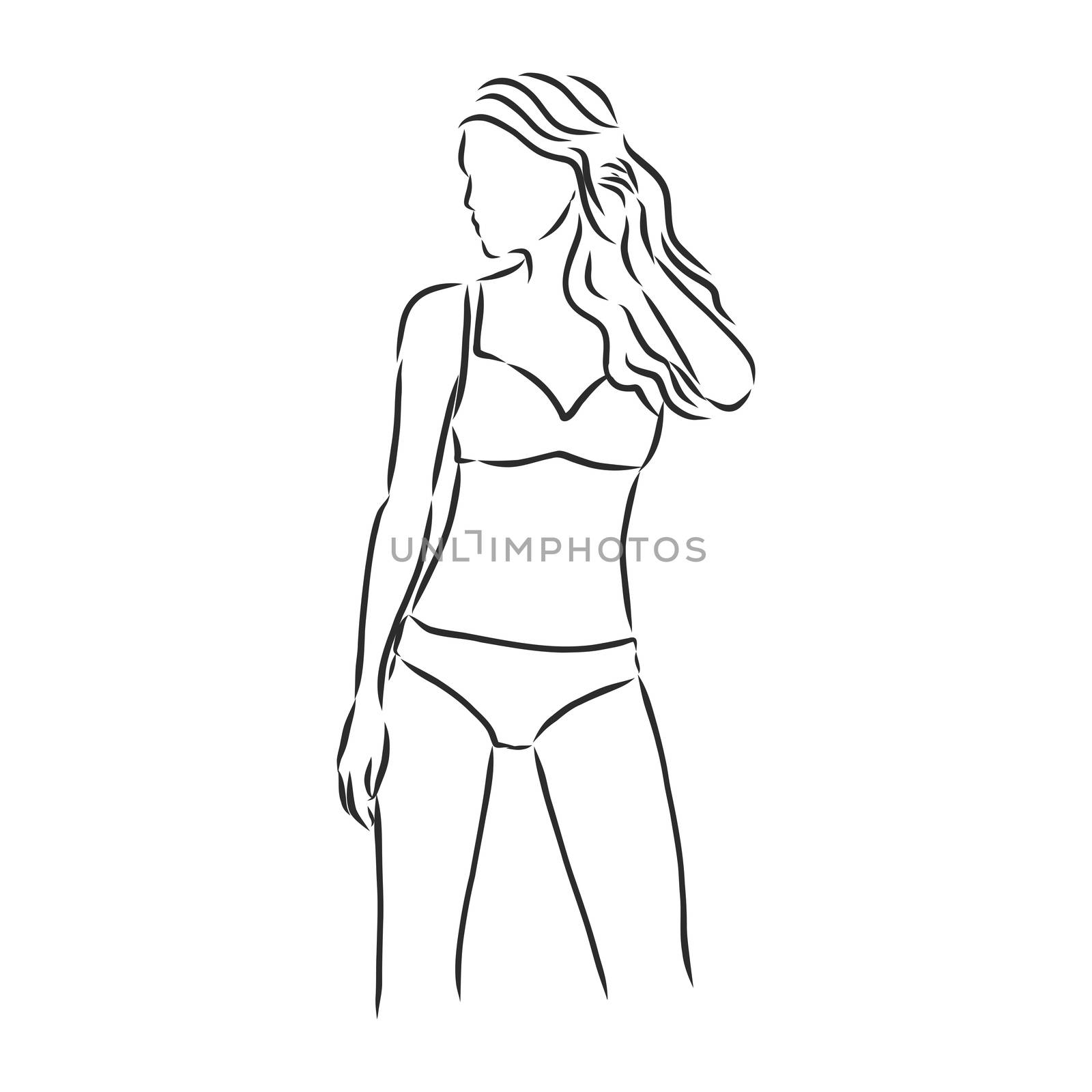 beautiful woman bodies in bikini vector illustration . swimsuit, vector sketch illustration by ekaterina
