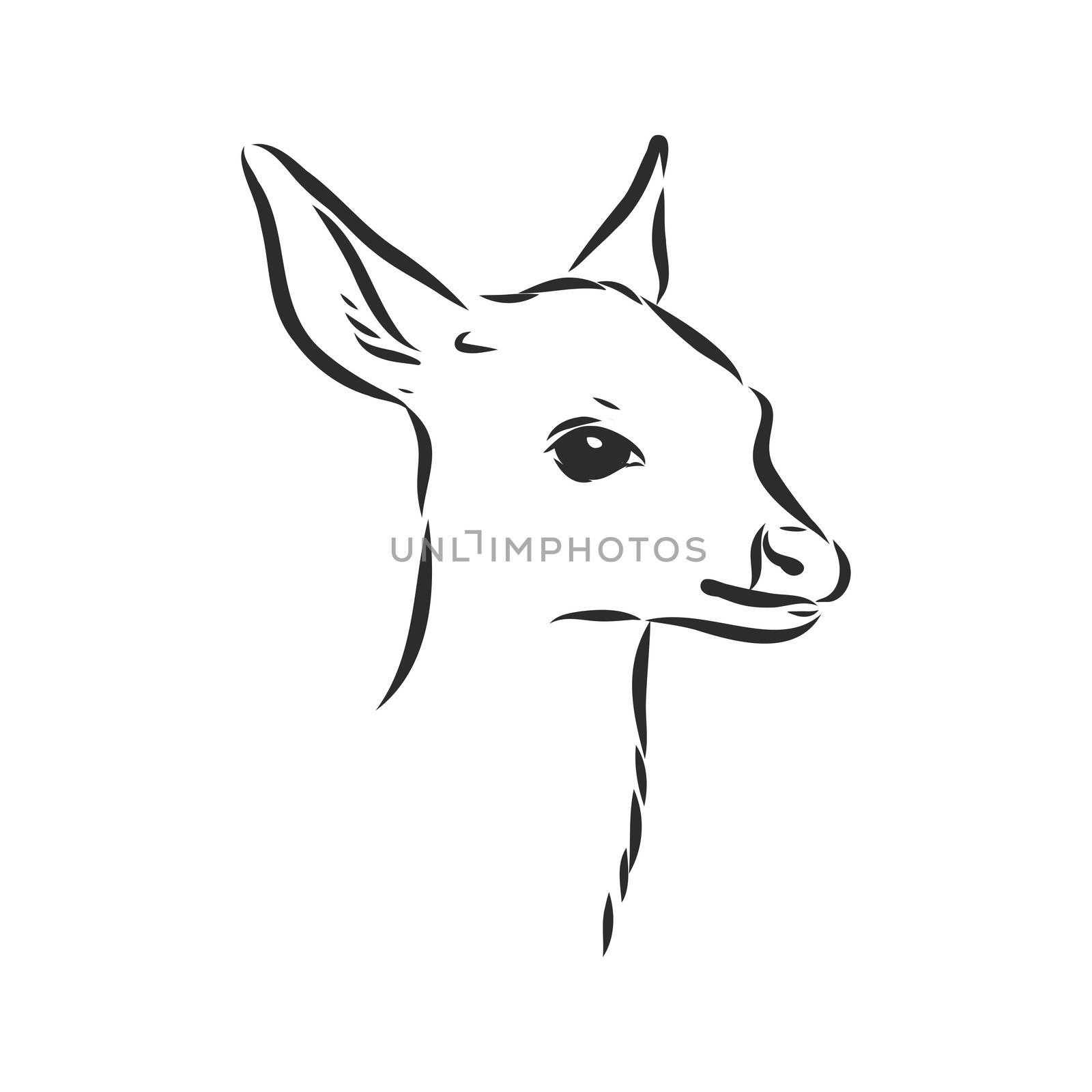 Young deer vector silhouette. fawn, vector sketch