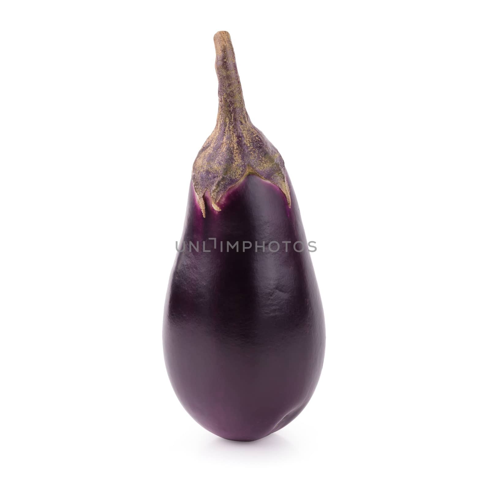 Eggplant or aubergine vegetable isolated on a white background.