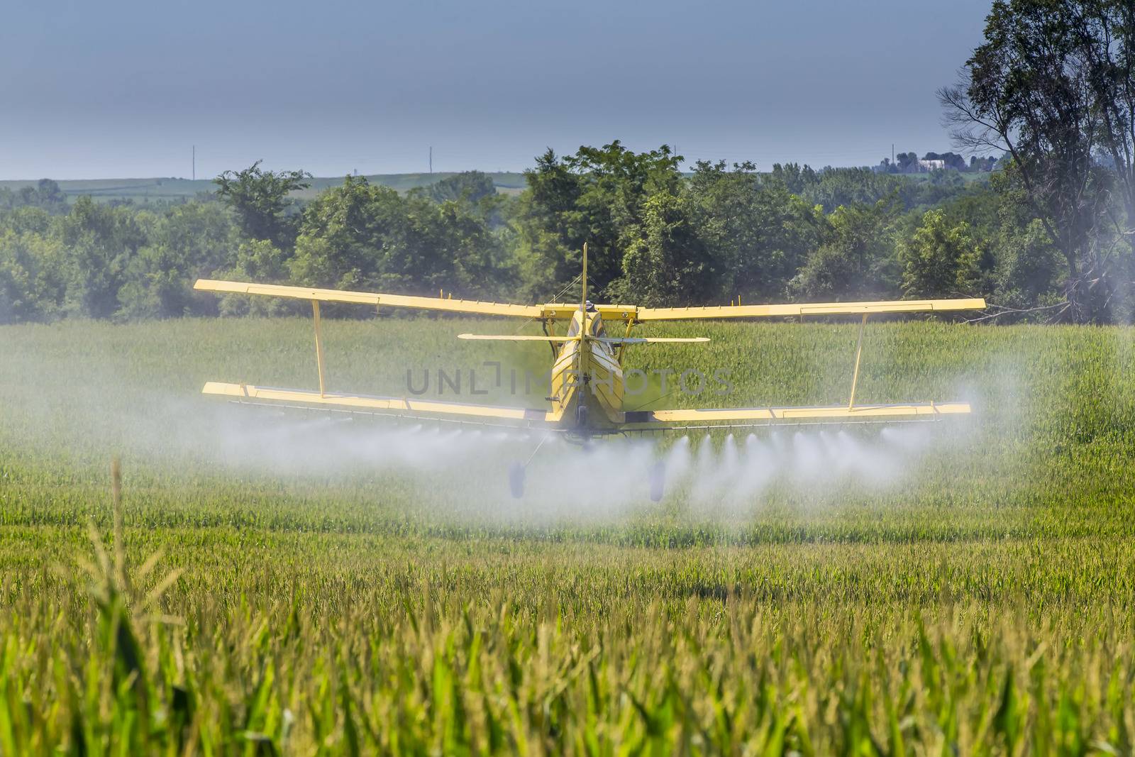 A crop duster applies chemicals to a field of vegetation.