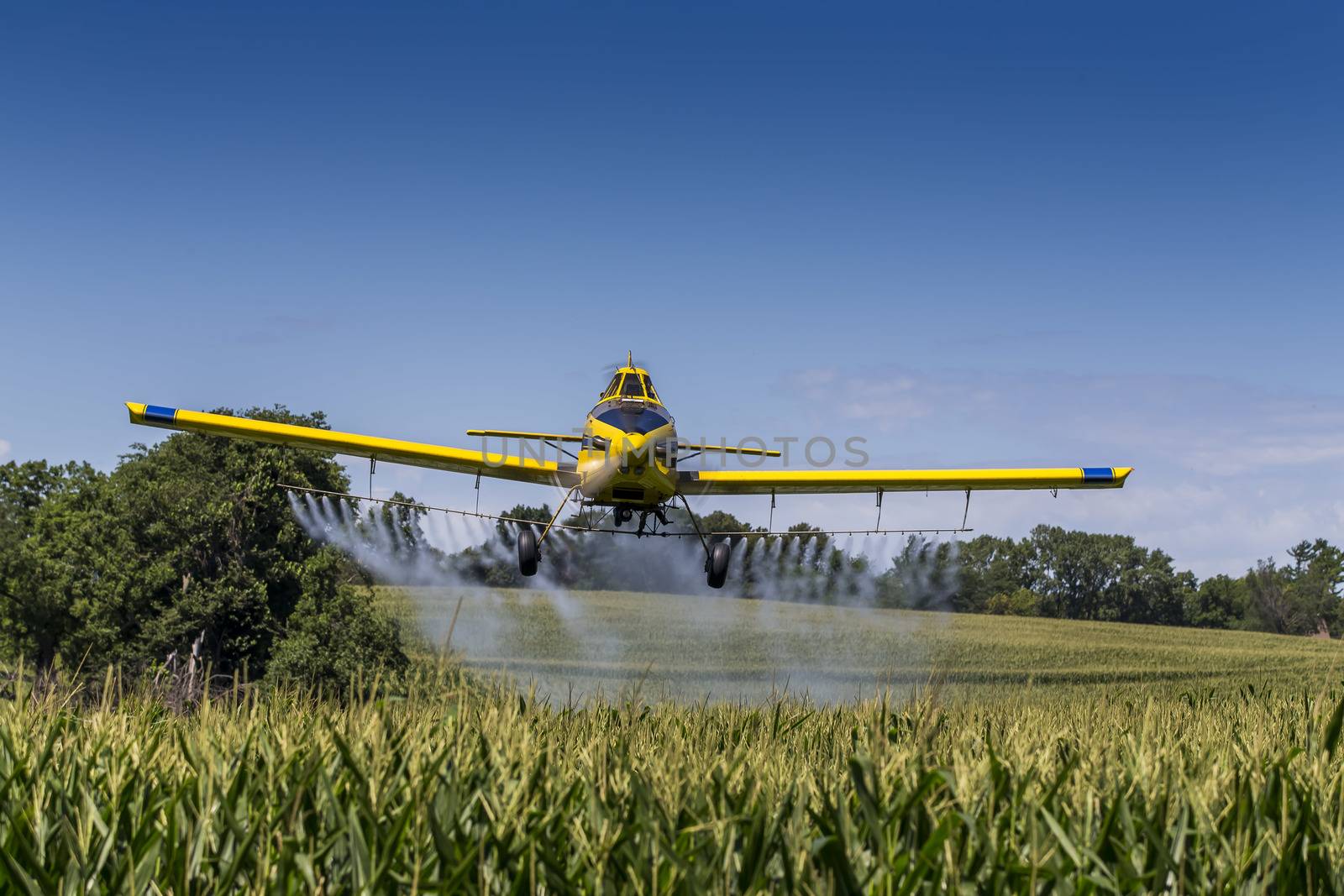 A crop duster applies chemicals to a field of vegetation.