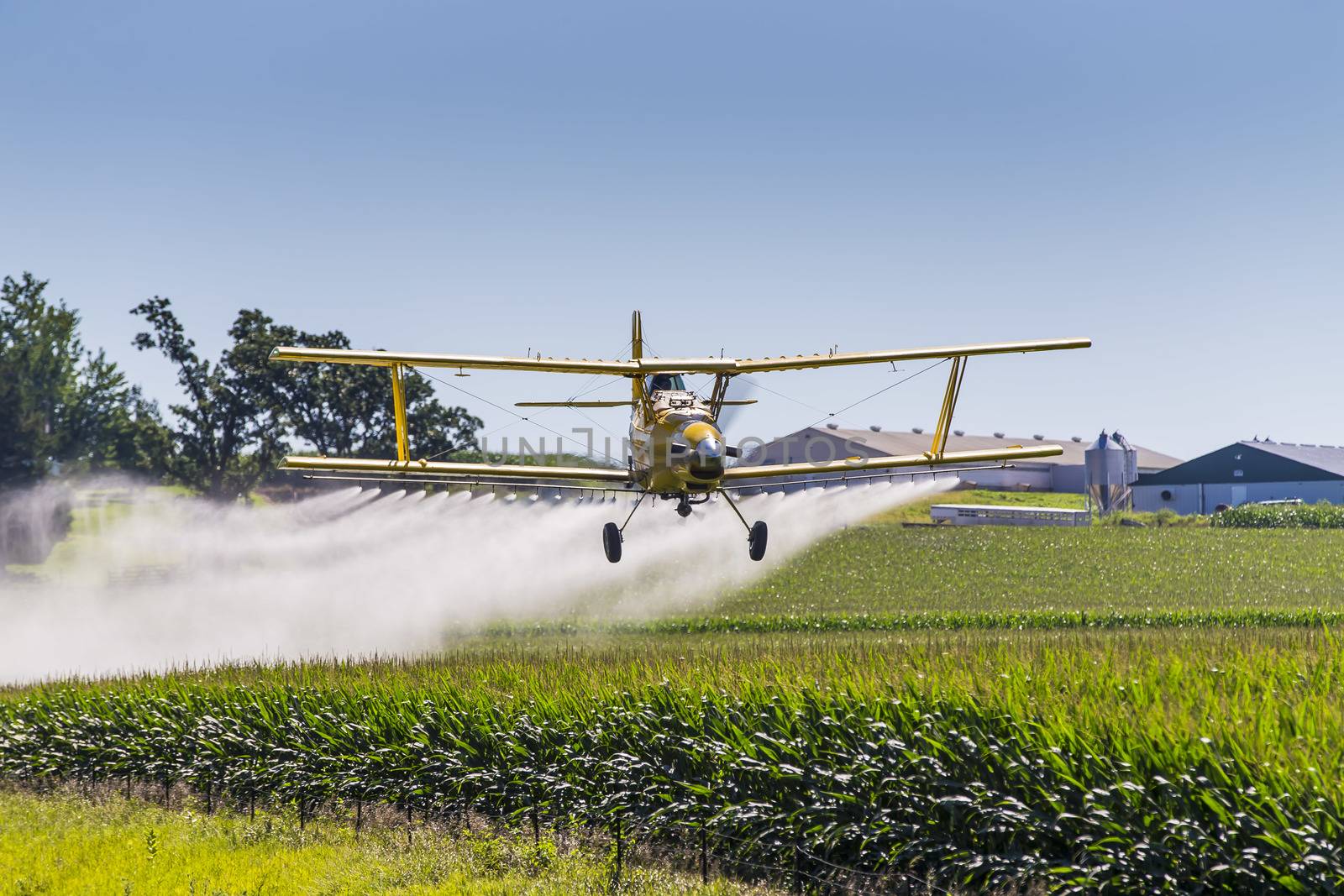 A crop duster applies chemicals to a field of vegetation.