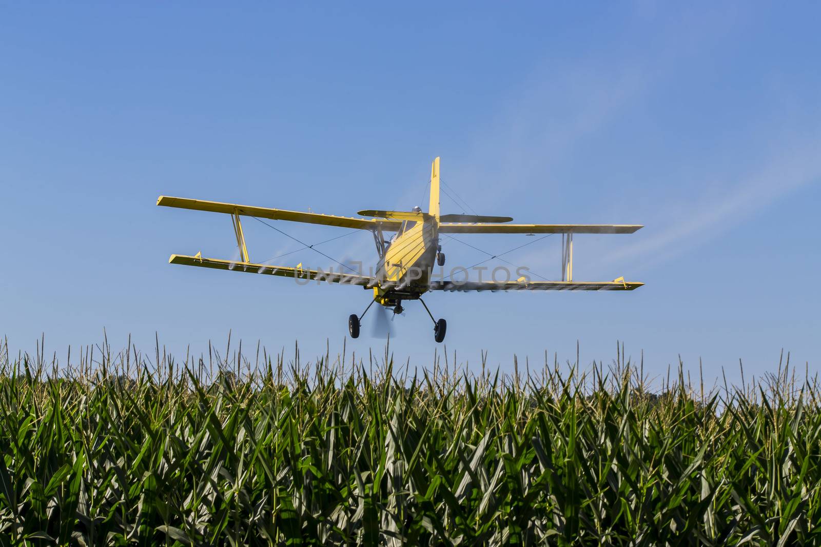 A crop duster applies chemicals to a field of vegetation.