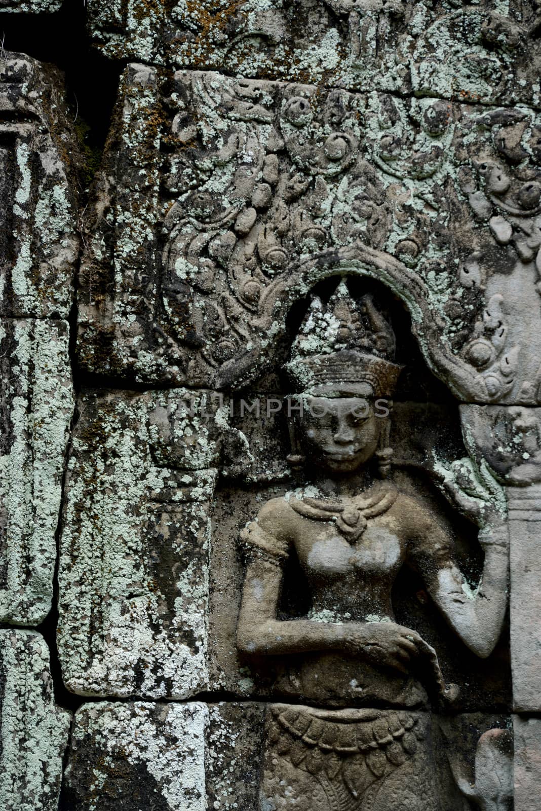 The Temple of  Ta Prohm in the Temple City of Angkor near the City of Siem Reap in the west of Cambodia.   Cambodia, Siem Reap, April 2014