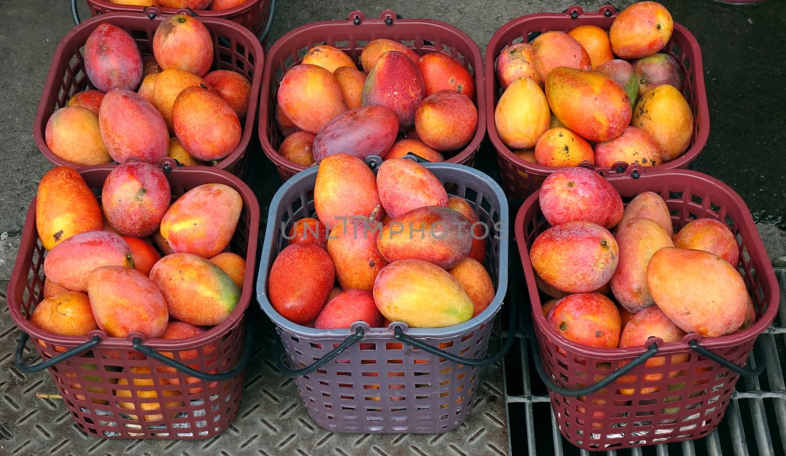 Fresh red Irwin mangoes for sale at an outdoor market