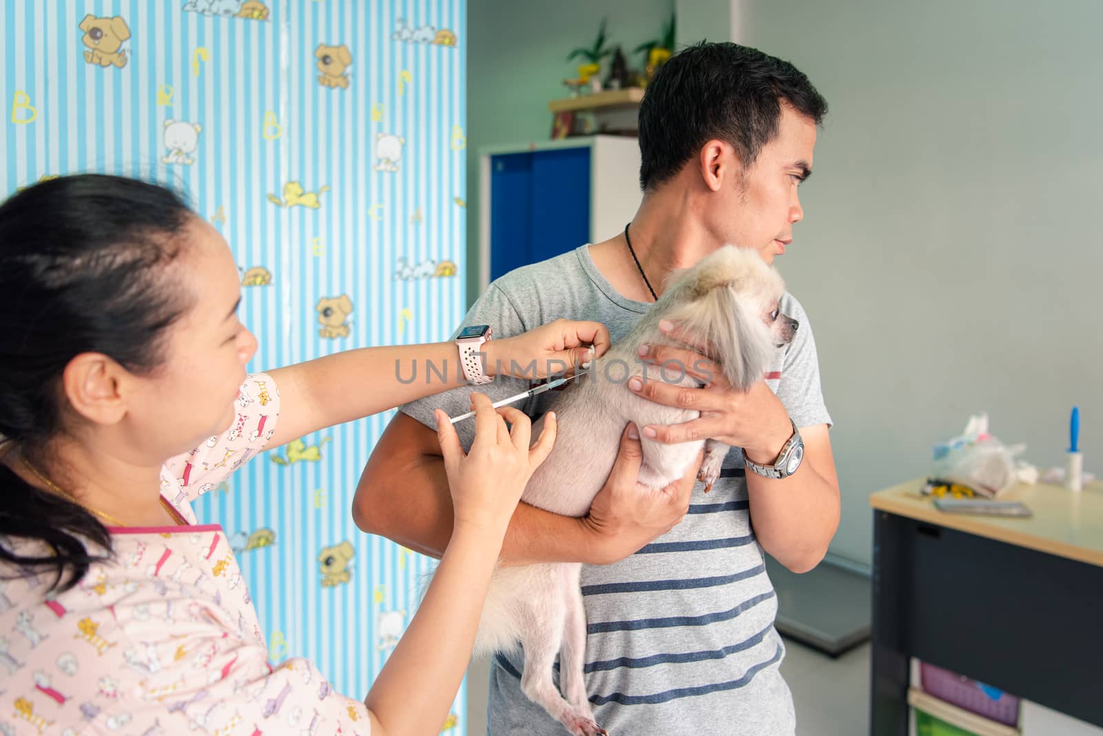 Dog get vaccinated against by veterinarian doctor by PongMoji