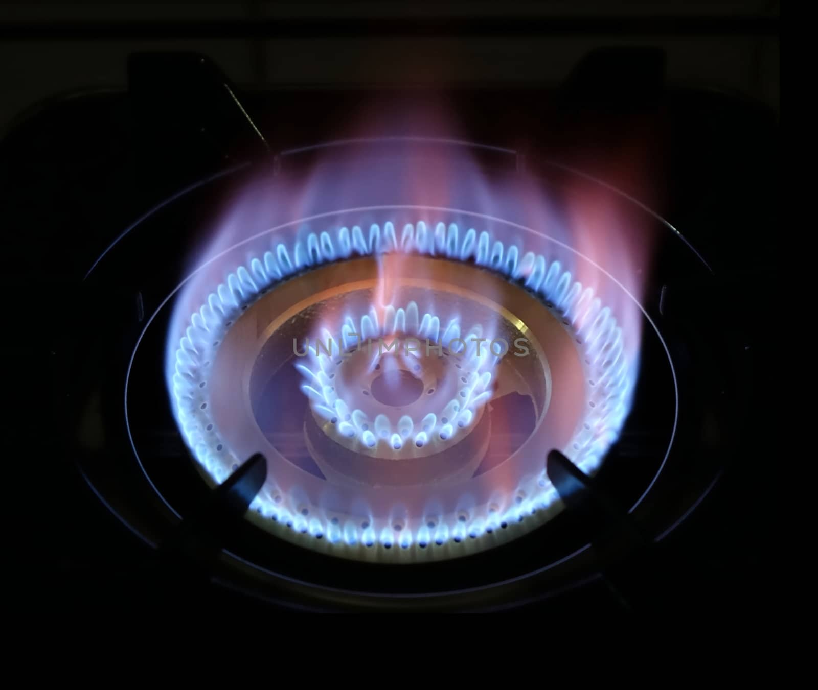 Blue flames from burning natural gas on a stove