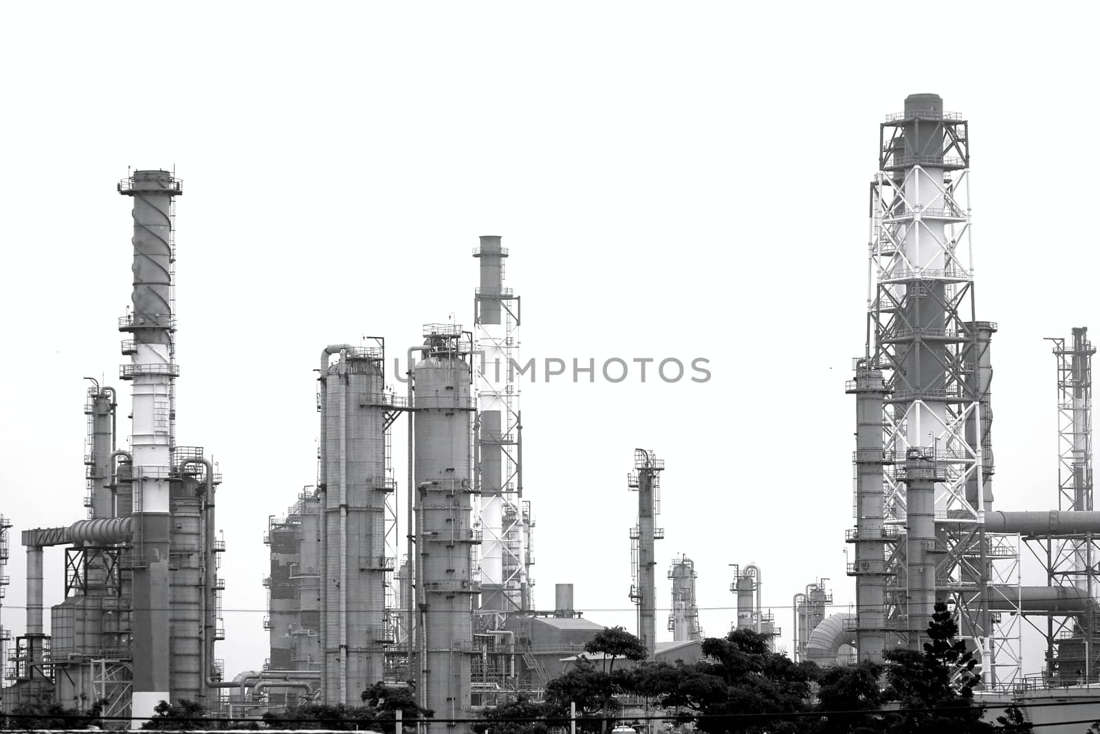 Large industrial plant for the petrochemical industry

