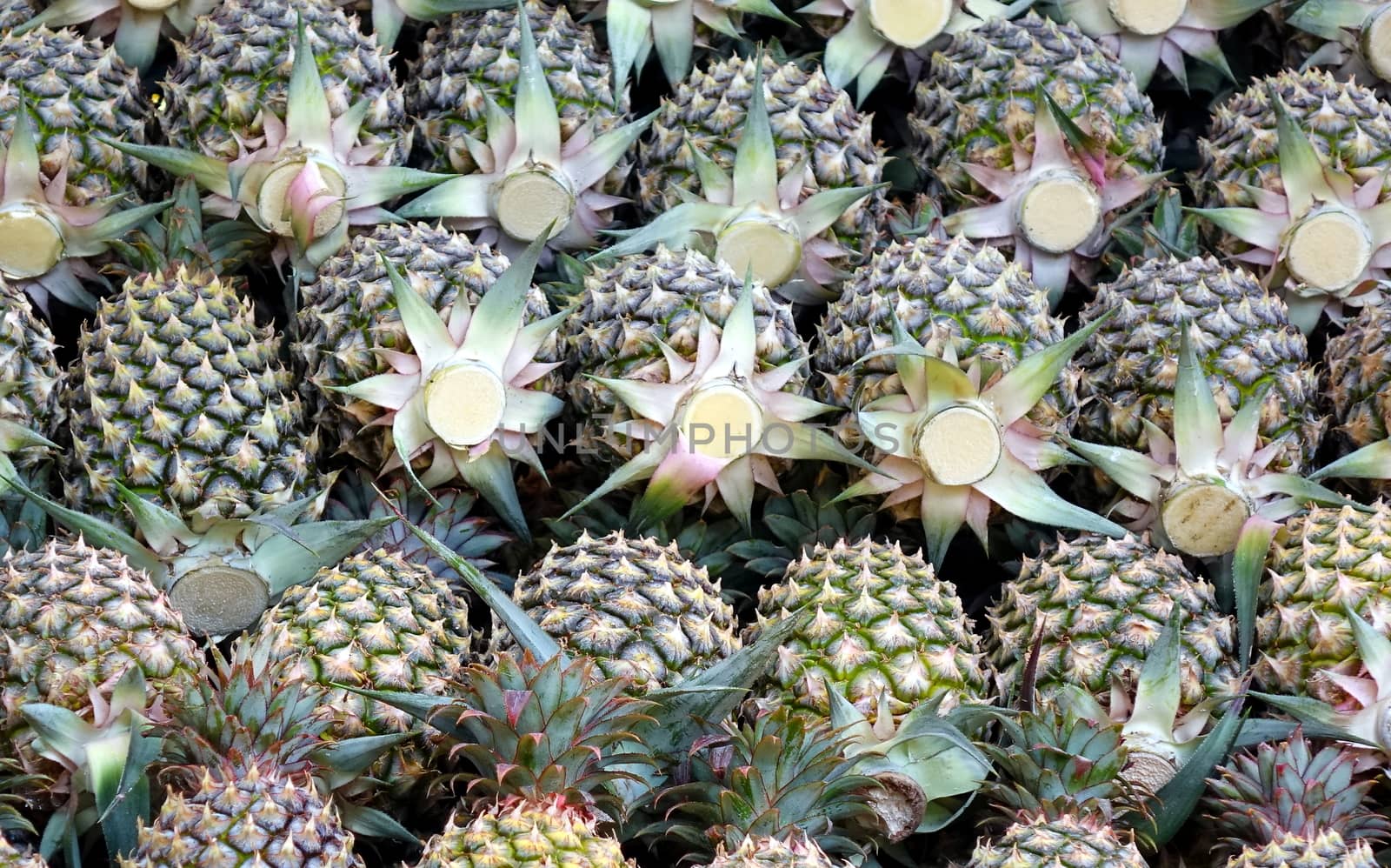 A pile of ripe pineapples for sale at the market in Taiwan