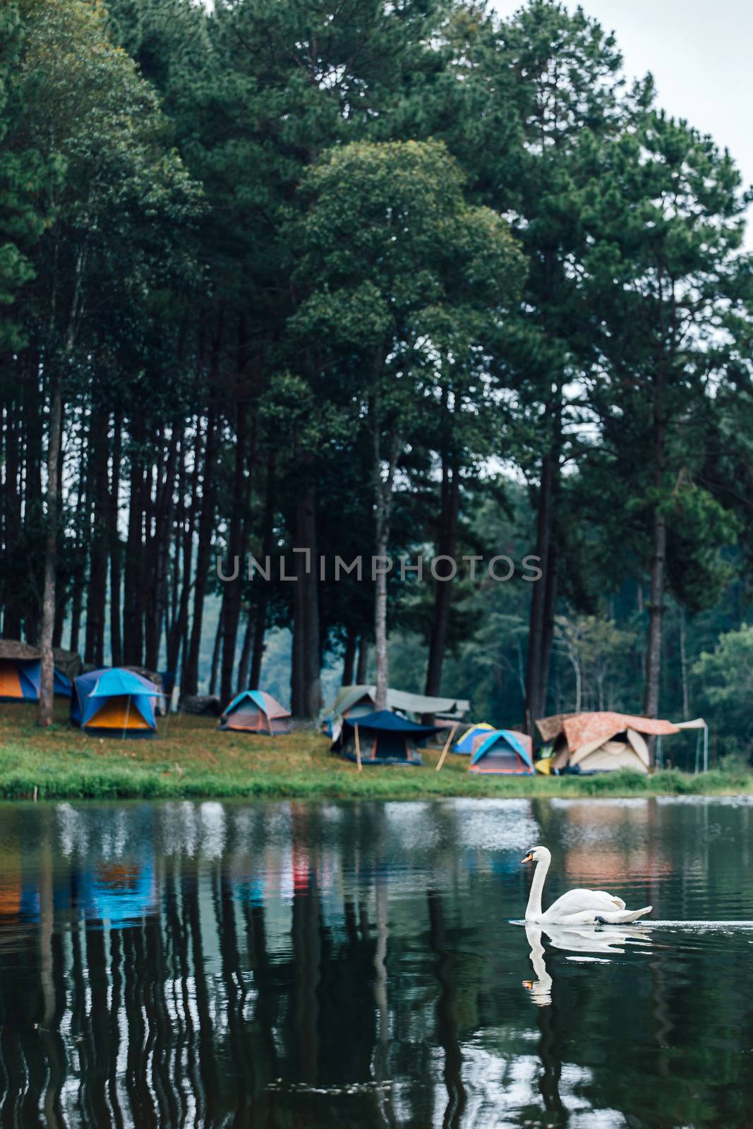 tourist tent camping in mountains