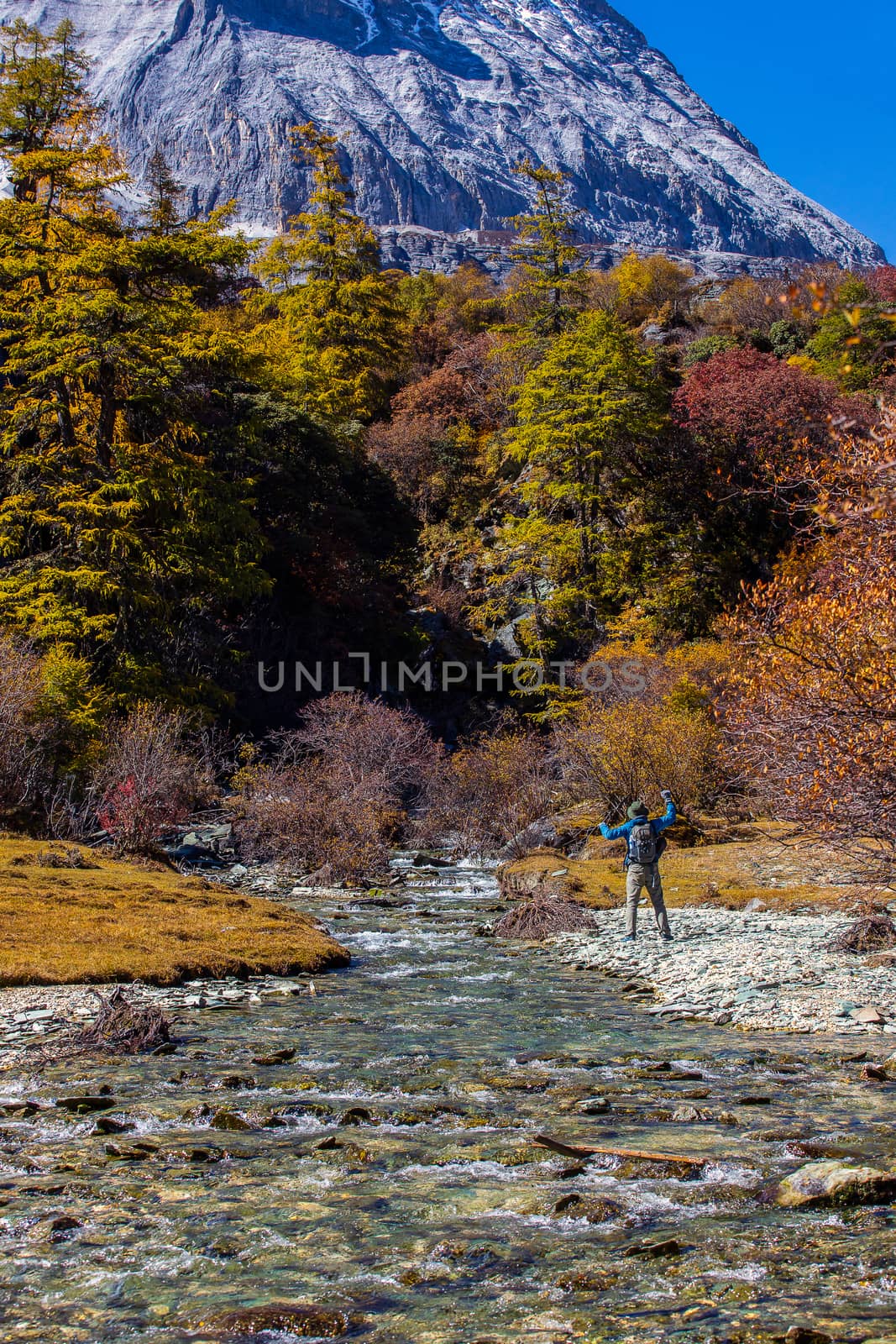 Colorful in autumn forest and snow mountain at Yading nature reserve, The last Shangri la