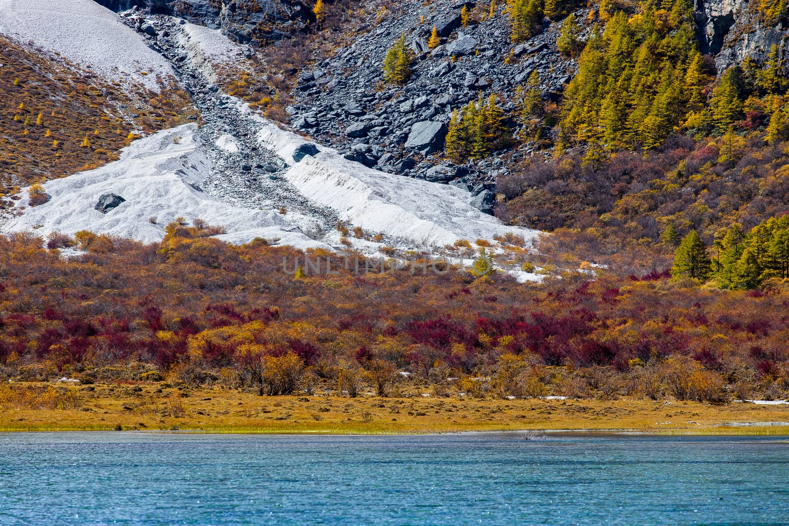 Colorful in autumn forest and snow mountain at Yading nature reserve, The last Shangri la