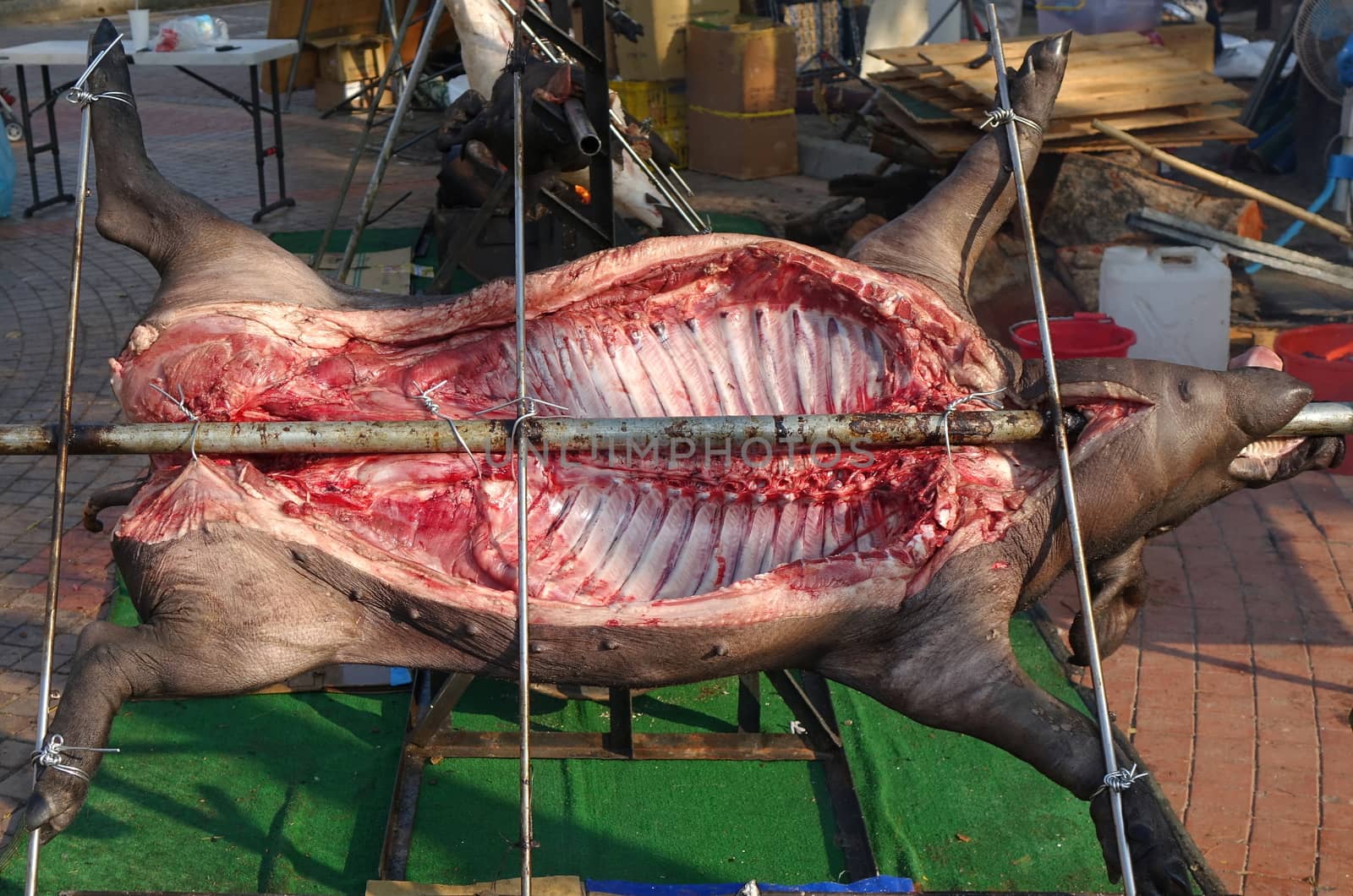 Traditional black haired pig carcass is ready for barbecue