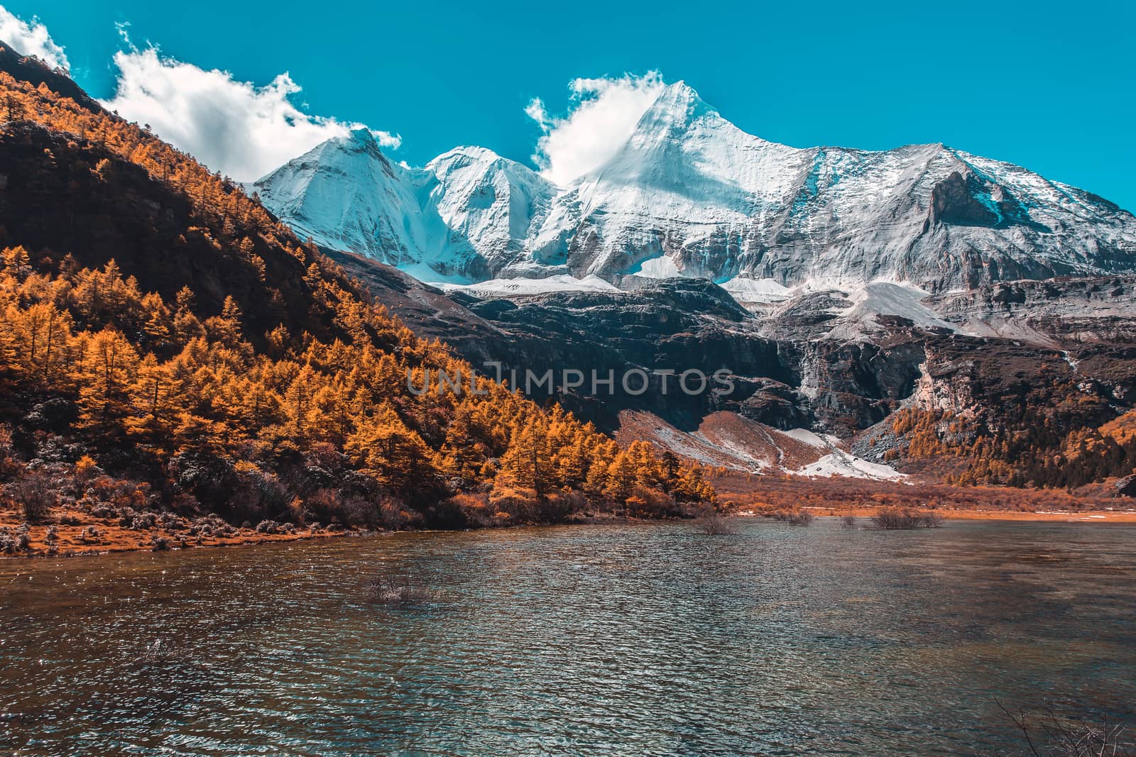 Colorful in autumn forest and snow mountain at Yading nature reserve, The last Shangri la