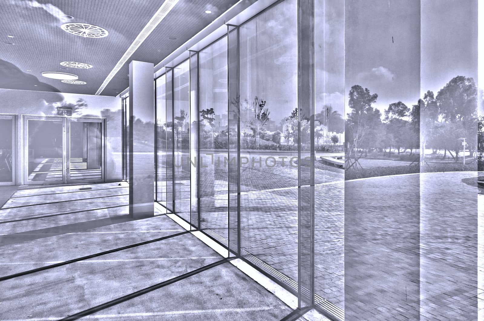 Light, glass and reflection in a building with modern architecture

