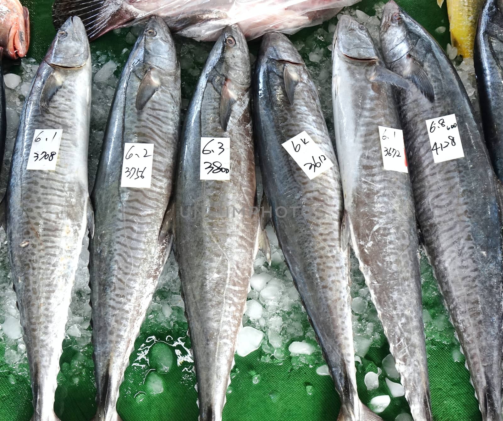 A stall at the fish market sells large Indo-Pacific King Mackerels, the fish steaks of which are a popular food in Taiwan.