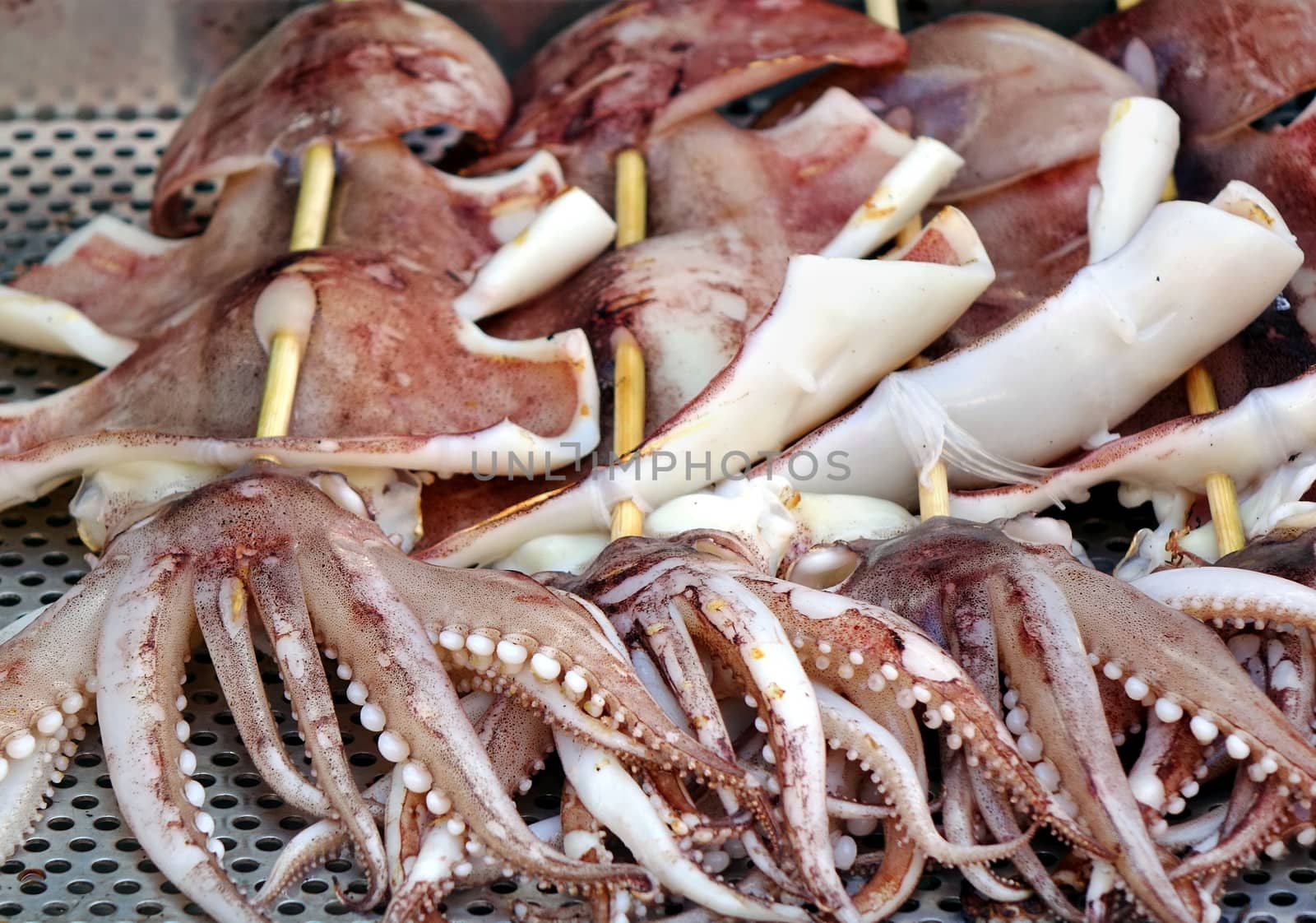 Squid on skewers is prepared to be grilled