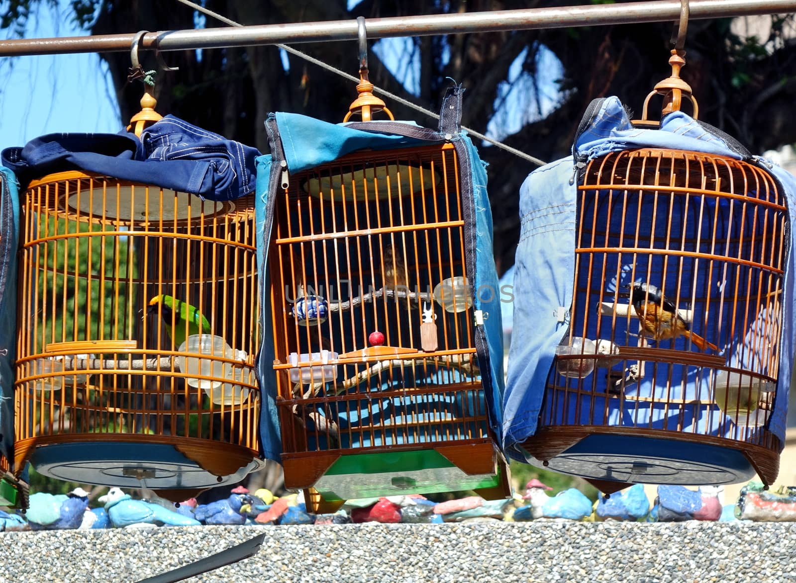 A street vendor sells birds in traditional bamboo cages