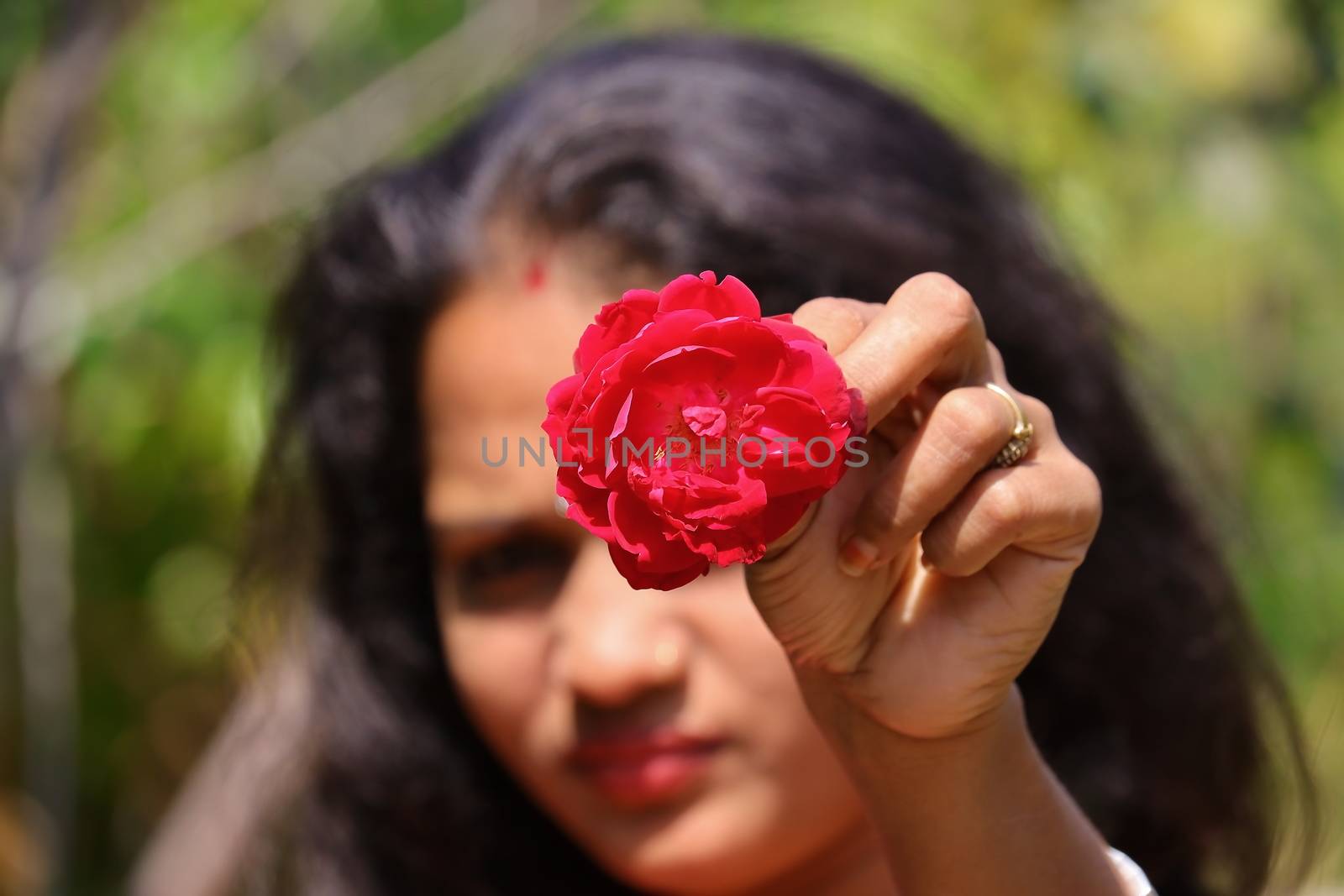 The blurred face of a young girl giving a red rose flower in open hairs