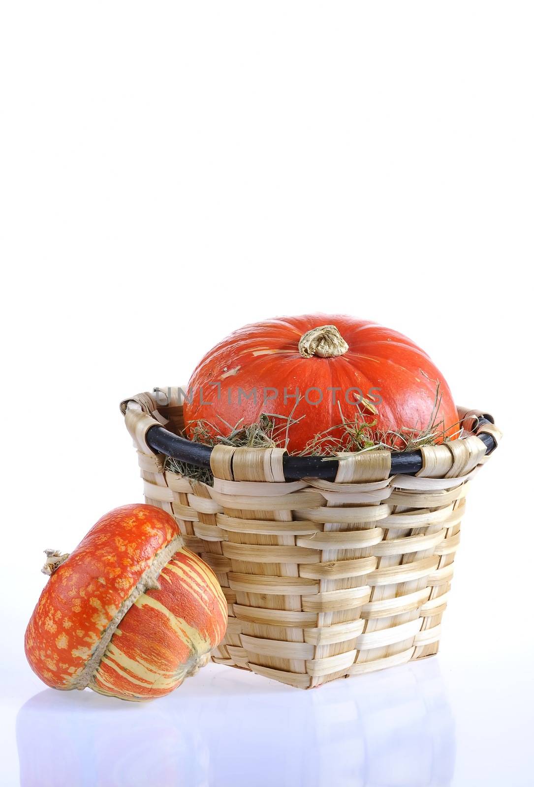 Different pumpkins in a basket with white background.