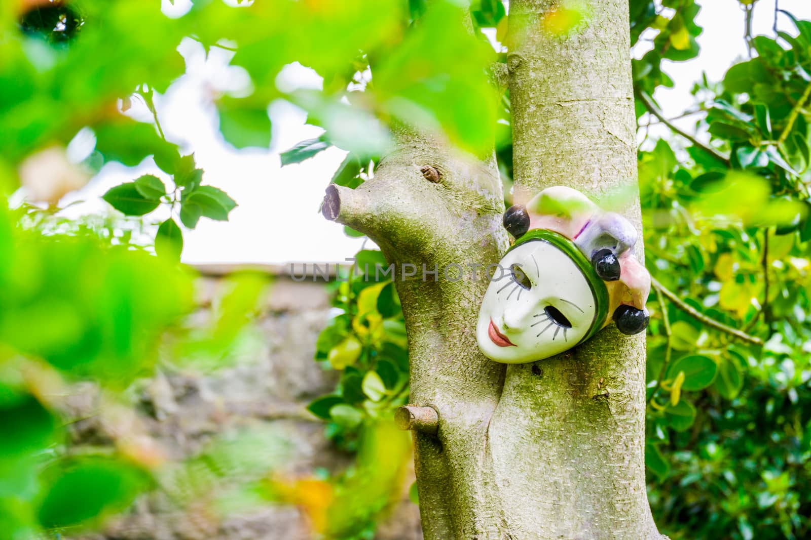 human face baked clay mask on a tree in a garden by paddythegolfer