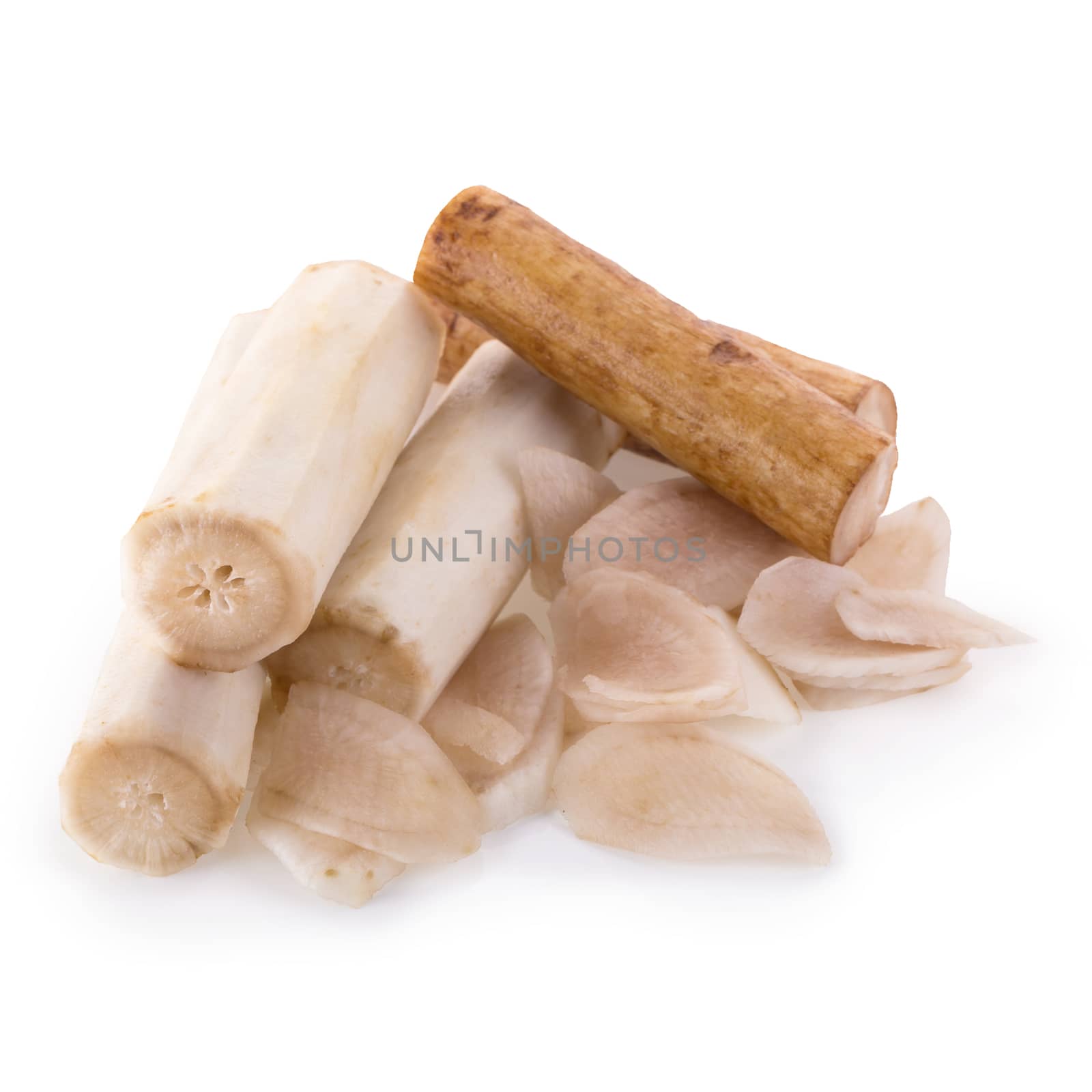 Fresh Burdock roots isolated on white background.