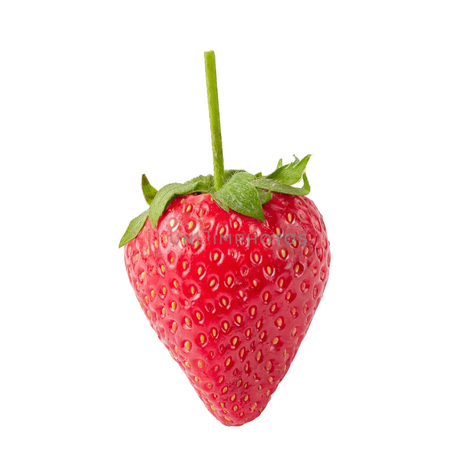 Fresh strawberries isolated on a white background