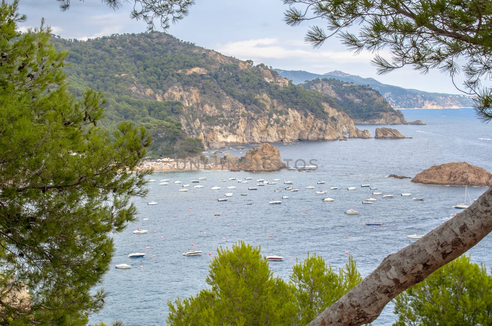 Seascape . Mediterranean coast of Spain, Costa Brava