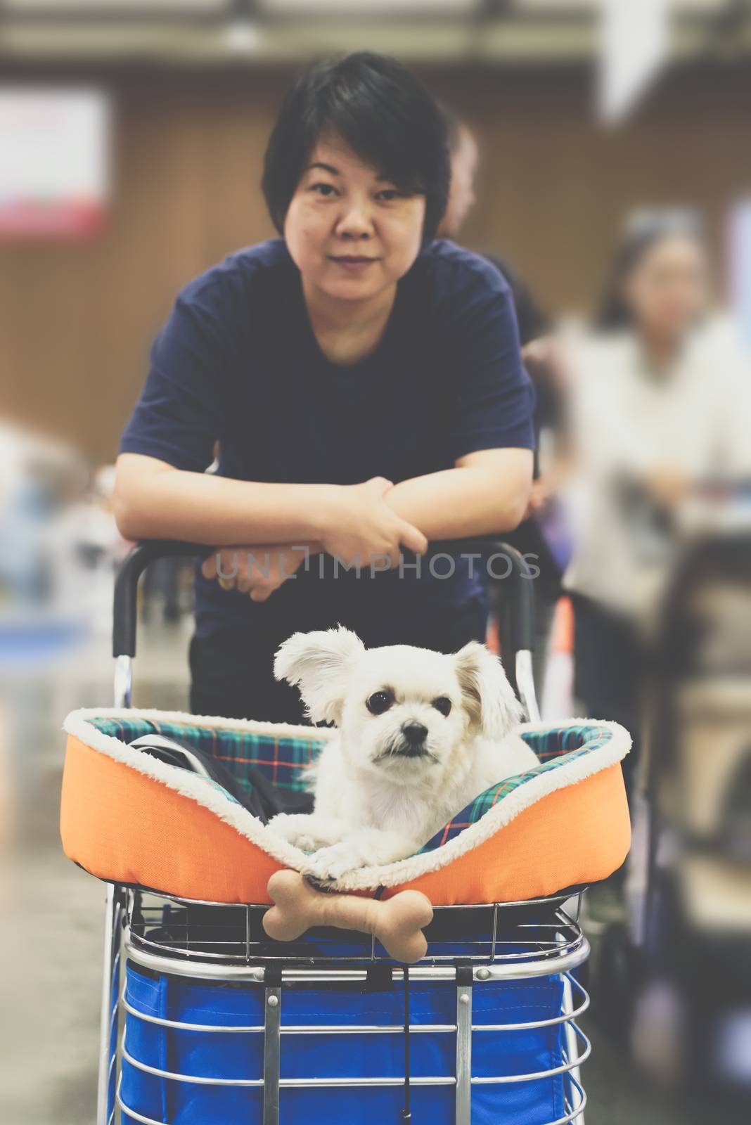Asian woman feeling happy when her and her pet (The dog) on shopping cart allowed to entrance for exhibit hall or expo