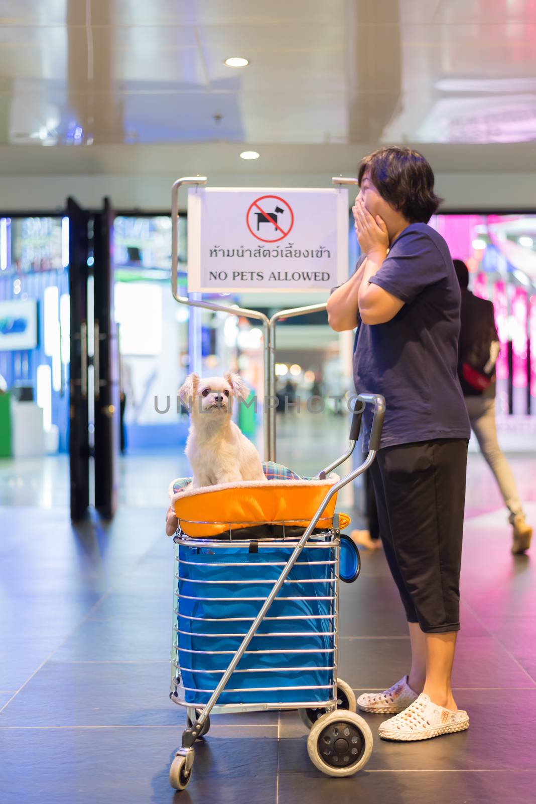 Asian woman feeling shocked when her and her pet (The dog) on shopping cart found warning sign No Pets Allowed at entrance door for exhibit hall or expo