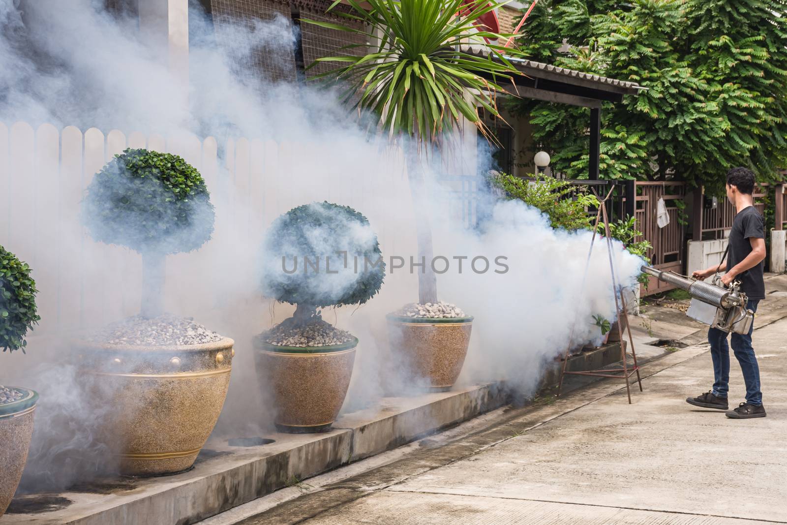 People fogging DDT spray for mosquito kill and protect by control mosquito is a carrier of Malaria, Encephalitis, Dengue and Zika virus in village.